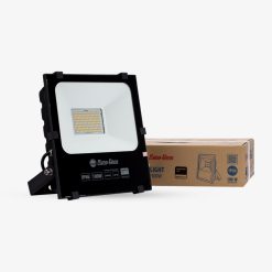 Đèn LED Chiếu pha 100W ánh sáng trắng CP06 100W 6500K Rạng Đông
