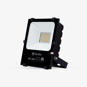 Đèn LED Chiếu pha 100W ánh sáng trắng CP06 100W 6500K Rạng Đông