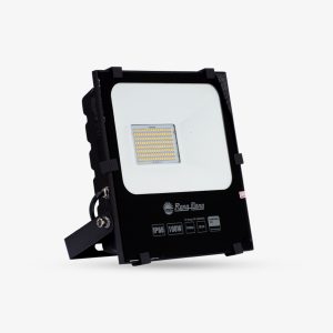 Đèn LED Chiếu pha 100W ánh sáng trắng CP06 100W 6500K Rạng Đông