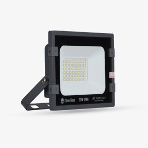 Đèn LED Chiếu pha 30W ánh sáng trắng CP10 30W 6500K Rạng Đông