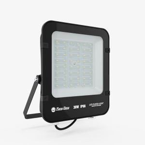 Đèn LED Chiếu pha 30W ánh sáng trắng CP12 30W 6500K Rạng Đông