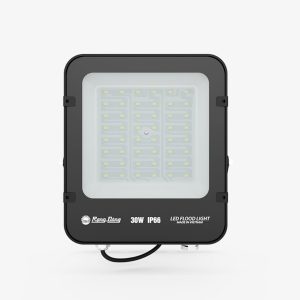 Đèn LED Chiếu pha 30W ánh sáng trắng CP12 30W 6500K Rạng Đông
