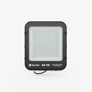Đèn LED Chiếu pha 50W ánh sáng trắng CP12 50W 6500K Rạng Đông