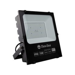 Đèn LED Chiếu pha 70W ánh sáng trắng CP06 70W 6500K Rạng Đông