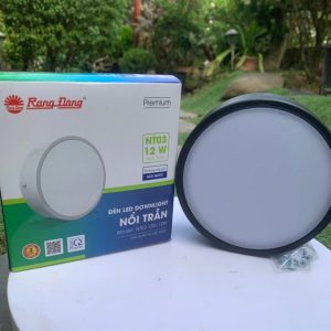 Đèn LED Downlight nổi trần 12W màu đen ánh sáng trắng NT03 120/12W 6500K Rạng Đông