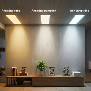 Đèn LED Panel âm trần hình chữ nhật 50W ánh sáng trắng P08 300x1200/50W 6500K Rạng Đông
