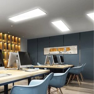 Đèn LED Panel chữ nhật 50W ánh sáng trắng P06 300x1200/50W 6500K Rạng Đông