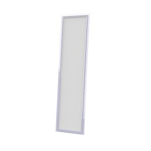 Đèn LED Panel chữ nhật 50W ánh sáng trắng P06 300x1200/50W 6500K Rạng Đông
