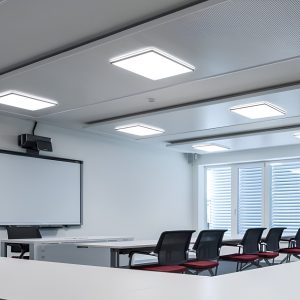 Đèn LED Panel nổi trần chữ nhật ánh sáng trắng P06 320x1280/50W 6500K Rạng Đông