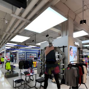 Đèn LED Panel nổi trần chữ nhật ánh sáng trắng P06 320x1280/50W 6500K Rạng Đông