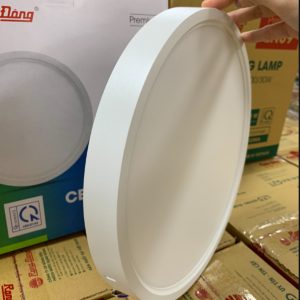 Đèn LED ốp trần đế nhôm 15W ánh sáng trắng LN09 170/15W 6500K Rạng Đông