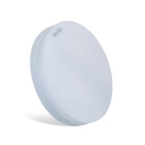 Đèn LED ốp trần đế nhựa 12W ánh sáng trắng LN12N 170/12W 6500K Rạng Đông