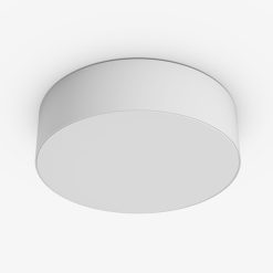 Đèn LED ốp trần đế nhựa 12W ánh sáng trắng LN29N 170/12W 6500K Rạng Đông