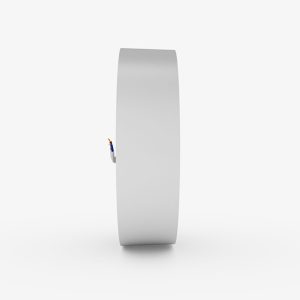 Đèn LED ốp trần đế nhựa 24W ánh sáng trắng LN29N 300/24W 6500K Rạng Đông