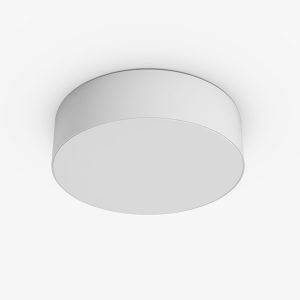 Đèn LED ốp trần đổi màu 12W đế nhựa LN29N 170/12W Rạng Đông