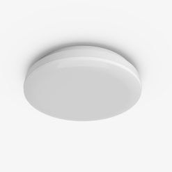 Đèn LED ốp trần đổi màu 18W đế nhựa LN30N 220/18W Rạng Đông