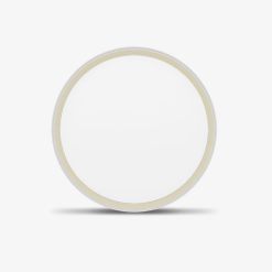 Đèn LED ốp trần đổi màu 40W nhựa LN28 400/40W Rạng Đông