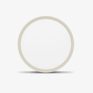Đèn LED ốp trần đổi màu 40W nhựa LN28 400/40W Rạng Đông