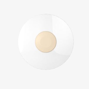 Đèn LED ốp trần nhựa 36W đổi màu LN26 360/36W Rạng Đông