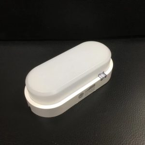 Đèn LED ốp tường LN12 70x160/5W 6500K Rạng Đông