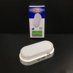 Đèn LED ốp tường LN12 90x195/10W 6500K Rạng Đông