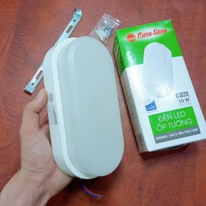 Đèn LED ốp tường LN12 90x195/10W 6500K Rạng Đông