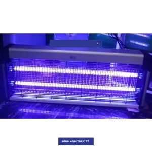 Đèn bắt muỗi DBM02 500x250/4W Rạng Đông
