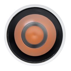 Đèn led chiếu điểm dạng treo 12W ánh sáng vàng DPL-12V MPE