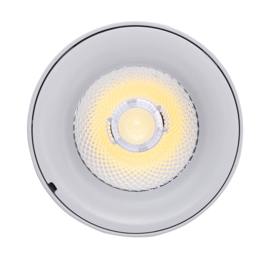 Đèn led chiếu điểm gắn nổi 25W ánh sáng vàng SDL-25V MPE